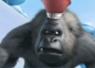 Imagen del  v&iacute;deo de Vipo las Aventuras del Perro Volador titulado GOGG YETI (EXPEDICI&Oacute;N INVIERNO 1&ordf; PARTE)