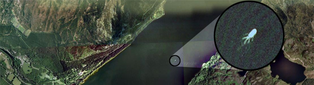 Google Earth captura una imagen que podría ser el monstruo del lago Ness Google Earth captura una imagen que podría ser el monstruo del lago Ness