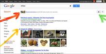 A Twitter no le gustan los cambios anunciados por Google en su motor de b&uacute;squedas