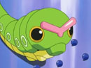 Imagen del  v&iacute;deo de Pok&eacute;mon Advanced Battle titulado EL GRAN DILEMA DE CATERPIE
