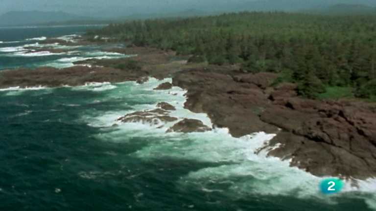 El hombre y la tierra - Gran fauna canadiense - Segunda parte
