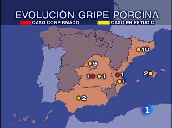 El Ministerio de Sanidad ha dicho que hay 32 casos en estudio de gripe porcina