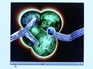 Ver v&iacute;deo  'Un grupo de cient&iacute;ficos intentan crear un ordenador que imite al cerebro'