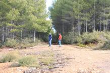 Un grupo de turistas inspecciona una de las zonas de observación Un grupo de turistas inspecciona una de las zonas de observación