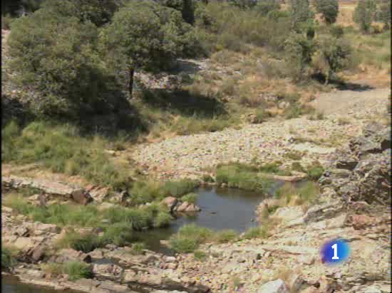 Descubren gusanos marinos gigantes que vivieron hace casi 500 millones de a&ntilde;os
