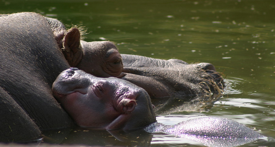 &iexcl;Qu&eacute; a gusto!