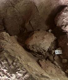 HALLAN EN EL MIR&Oacute;N EL PRIMER ENTERRAMIENTO RITUAL DEL MAGDALENIENSE EN ESPA&Ntilde;A