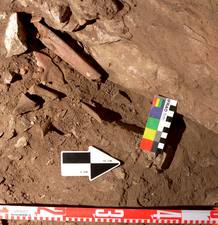 HALLAN EN EL MIR&Oacute;N EL PRIMER ENTERRAMIENTO RITUAL DEL MAGDALENIENSE EN ESPA&Ntilde;A