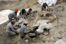 Un grupo de paleontólogos trabaja en el yacimiento arqueológico de Morella, Castellón. Un grupo de paleontólogos trabaja en el yacimiento arqueológico de Morella, Castellón.
