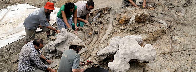 Un grupo de paleont&oacute;logos trabaja en el yacimiento arqueol&oacute;gico de Morella, Castell&oacute;n.