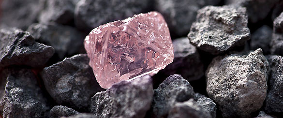 Es el mayor diamante rosa en bruto descubierto hasta ahora en una mina de Australia, de 12,76 kilates y que puede alcanzar un precio próximo a los 10,5 millones de dólares