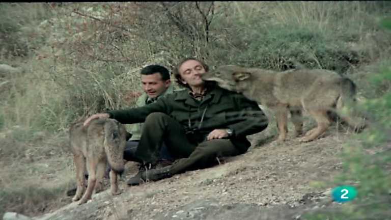 El hombre y la Tierra (Fauna ib&eacute;rica) - El hombre y el lobo