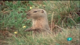Video: El hombre y la tierra - Kluane
