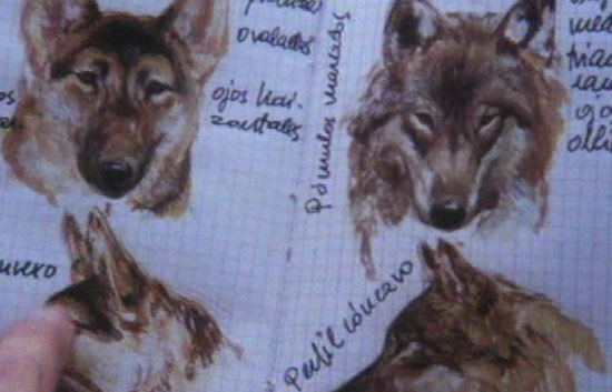 Fragmento de un programa de la serie "El Hombre y la Tierra" 