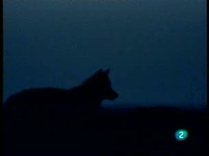 Ver v&iacute;deo  'El hombre y la tierra - &iexcl;Qu&eacute; viene el lobo!'