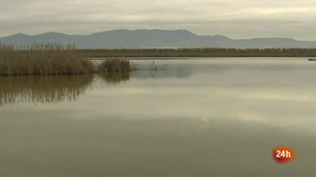 Cr&oacute;nicas - El Hondo: el humedal escondido