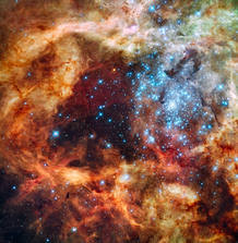 La imagen del cluster R136 muesta un paisaje de fantas&iacute;a, repleto de luz y valles de oscuridad, junto a una regi&oacute;n en sombra en el centro que se asemeja a la silueta de un &aacute;rbol navide&ntilde;o.