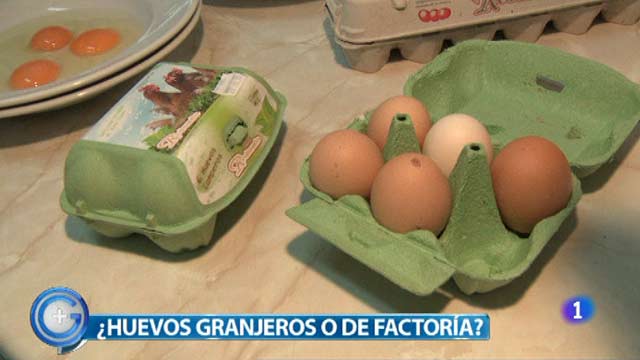 M&aacute;s Gente - El reto de cocina - &iquest;Huevos ecol&oacute;gicos o de factor&iacute;a?