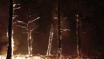 Ir al Video&nbsp;El humo del incendio de Castrocontrigo puede verse a cien kil&oacute;metros de distancia