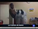 Ir al Video&nbsp;Ibaka hace 'pesas' con Rudy