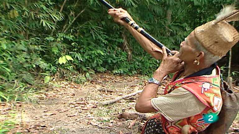 Otros pueblos - Iban, Borneo (Malasia)
