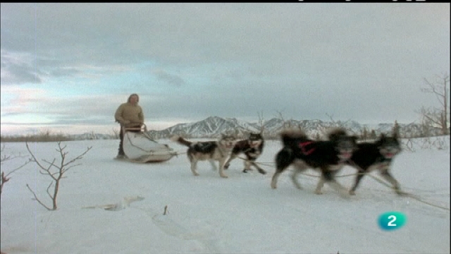 El hombre y la tierra - Iditarod, 1.000 millas sobre hielo