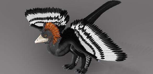 Ilustraci&oacute;n del Anchiornis huxleyi y sus plumajes de colores.