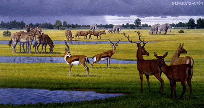 Ilustraci&oacute;n de animales.