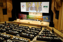 Una imagen de la 10&ordf; Conferencia de las Partes sobre Biodiversidad Biol&oacute;gica en Nagoya, Jap&oacute;n