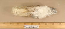 Imagen de la bomba que estaba oculta en la ropa interior de un detenido en 2009 por intentar hacer estallar un avi&oacute;n