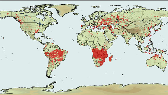 Imagen del mapa interactivo