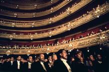 Imatge de la s&egrave;rie La saga dels Rius