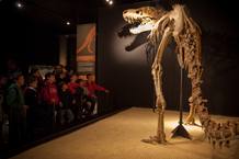 Cientos de ni&ntilde;os visitan al d&iacute;a la exposici&oacute;n la `Dinosaurios. Tesoros del desierto de Gobi&iquest; en Cosmocaixa en Madrid.