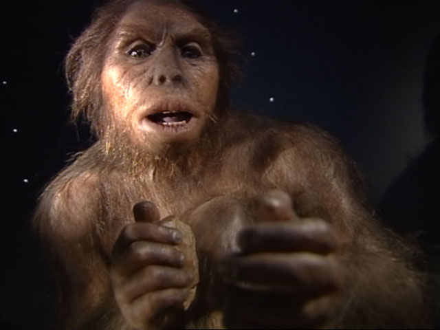 Abre sus puertas en Burgos el Museo de la Evoluci&oacute;n Humana
