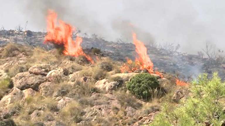 1.000 evacuados desde anoche por el incendio de Bedar, Almería
