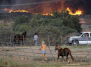 Con las llamas a la vista, muchos residentes evac&uacute;an a sus caballos, para alejarlos del peligro del fuego.