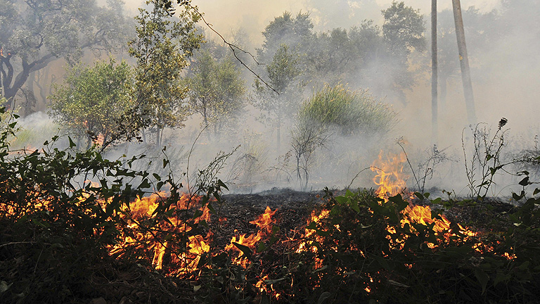 Se elevan a cuatro las v&iacute;ctimas mortales en el incendio de Empord&agrave; que sigue activo