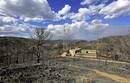 INCENDIO FORESTAL EN CORTES DE PALL&Aacute;S, VALENCIA