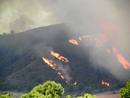 INCENDIO FORESTAL EN HELL&Iacute;N
