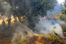 INCENDIO FORESTAL LA JONQUERA (GIRONA)