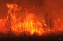 Los incendios forestales del Alt Emporda en Girona han arrasado 13000 hectareas y han dejado tres muertos entre ellos una menor