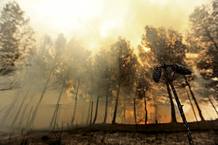 INCENDIO FORESTAL INCENDIO FORESTAL