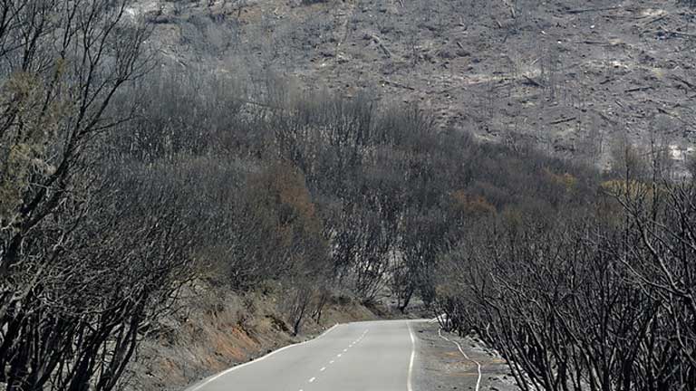 El incendio de la Gomera sigue sin control e imposible de estabilizar en las pr&oacute;ximas 24 horas