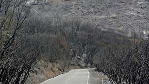 Ver v&iacute;deo  'El incendio de la Gomera sigue sin control e imposible de estabilizar en las pr&oacute;ximas 24 horas'