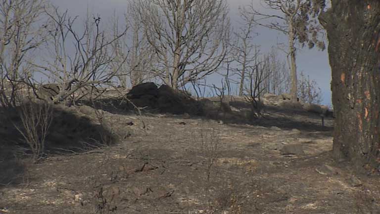 Se busca a los culpables del incendio que quem&oacute; m&aacute;s de mil hect&aacute;reas en la sierra de Madrid