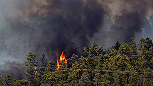 Ver v&iacute;deo  'Incendio en la Palma y Tenerife, el fuego amenaza al Parque Nacional del Teide'
