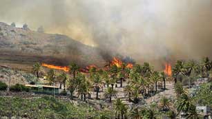 Ver v&iacute;deo  'Incendio sin control en La Gomera'