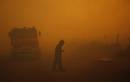 Incendio sin control en Grecia