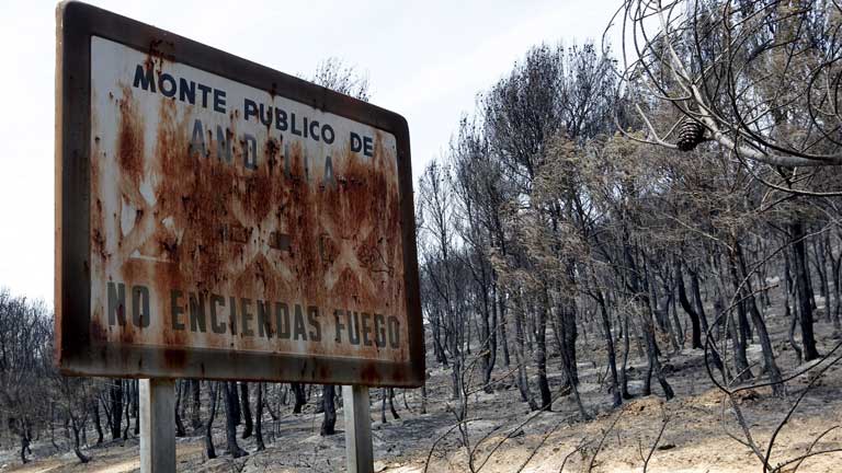 Estabilizaci&oacute;n del incendio en Valencia