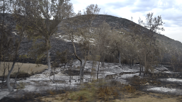 Los medios terrestres centran las tareas para el control del incendio en Moncayo, en Zaragoza